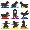 Grappige Berner Sennenhond Yoga Sport