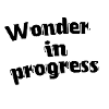 Wonder in progress