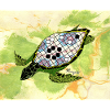 The Turtle Shell