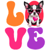 Dog Boston Terrier