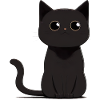 Black cat