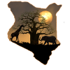 Baobab Sunrise Giraffe Elephant Africa