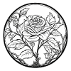 A rose