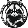 Raccoon
