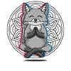 Yoga Fox Fox Yoga