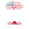 Né Indonésien Indonésie États-Unis