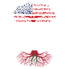 Né marocain Maroc États-Unis