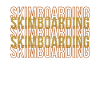 Skimboarding Shirt Gift