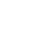 Porcupine Chicken