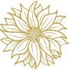 Stylish yoga flower