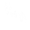 Wolf Dreamcatcher