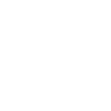 Crazy Cat Lady