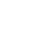Crazy Cat Lady