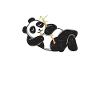 Panda Gifts Panda Lover