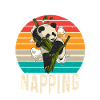 Panda Gifts Panda Lover