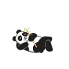 Panda Gifts Panda Lover