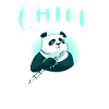 Panda Gifts Panda Lover