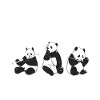 Panda Gifts Panda Lover