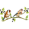 Bunte Vögel