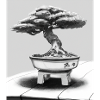 Monochrome Bonsai Art