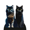 2 gray and black cats