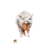 Friends Not Food