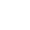 Diagnose Dachschaden Dachdeckermeister Dachdecker