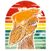Shoebill Bird Abu Markub
