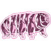 Tardigrade