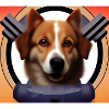 Dog Hund