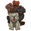 Cute Dogs Crew Dogsitter