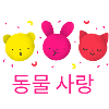 Korean Cuties