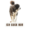 Ich Guck nur