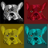 Frenchie Pop Art Vierfarb Design