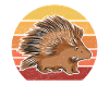 Porcupine | Porcupine Gift