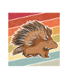 Porcupines Porcupine Gift