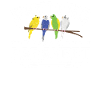 Parakeet Whisperer