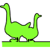 Geese