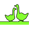Geese