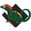 The lizard