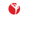 KARATE BOY | Karate