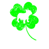 Bouledogue français Saint-Patrick Trèfle