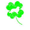 Collie St.Patrick's day Shamrock