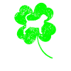 Limier de la Saint-Patrick Trèfle