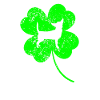 Chihuahua Saint-Patrick Trèfle