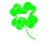 Teckel Saint-Patrick jour Trèfle