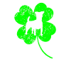 Russel-terrier Saint-Patrick Shamrock