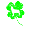 Berger allemand St.Patrick’s day Shamrock