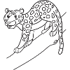 Leopard, Raubkatze, Geschenk, Geschenkidee