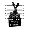 Coniglietto di Pasqua Foto della Coniglietto di Pasqua